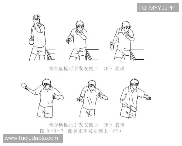 乒乓球新手必看团队协作技巧与入门指南助你快速提升球技